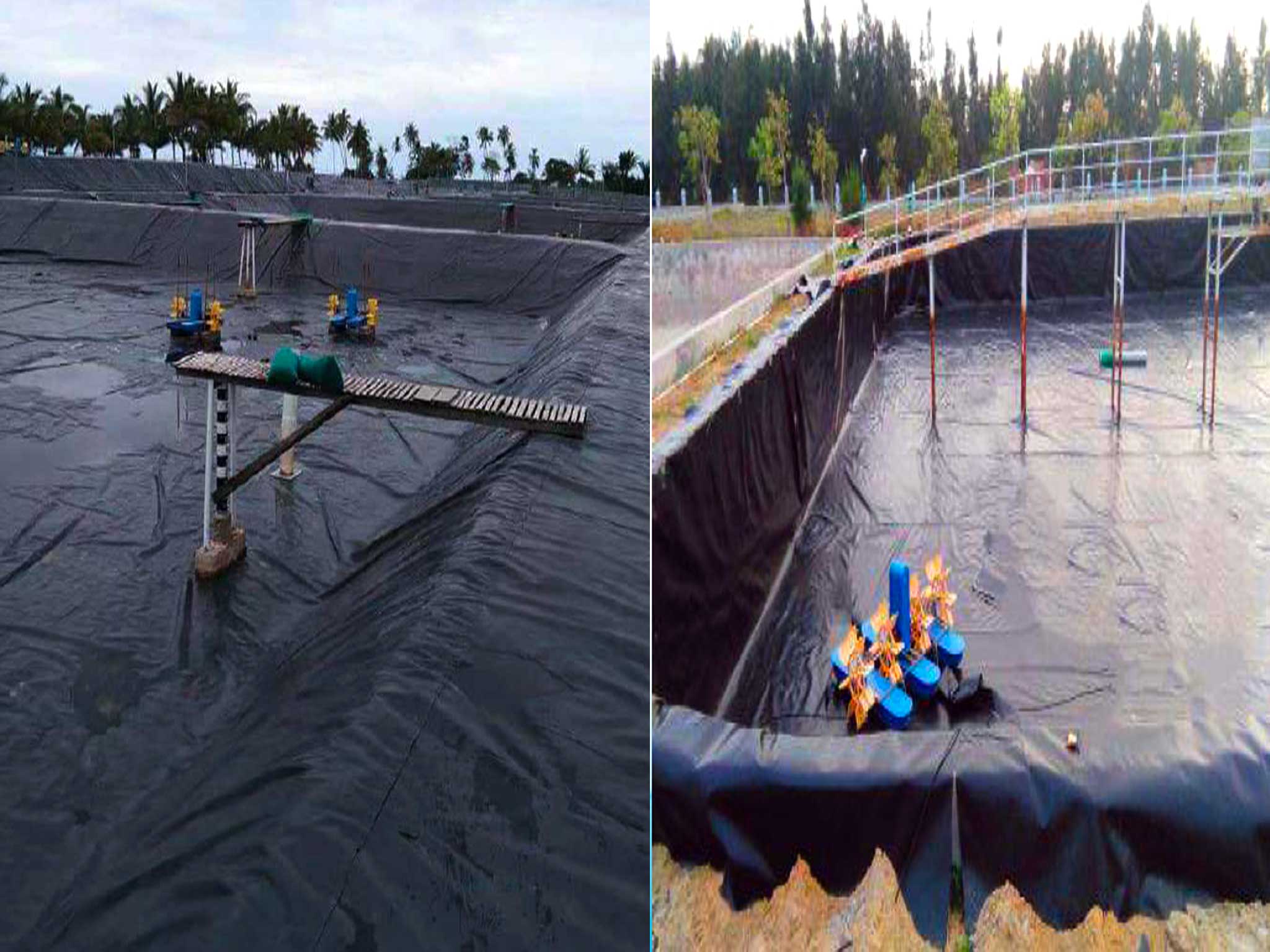 1.250.000 m² de geomembrana GeoGro de 0,5 mm para 10 estanques de peces y estanques para tiburones en Indonesia